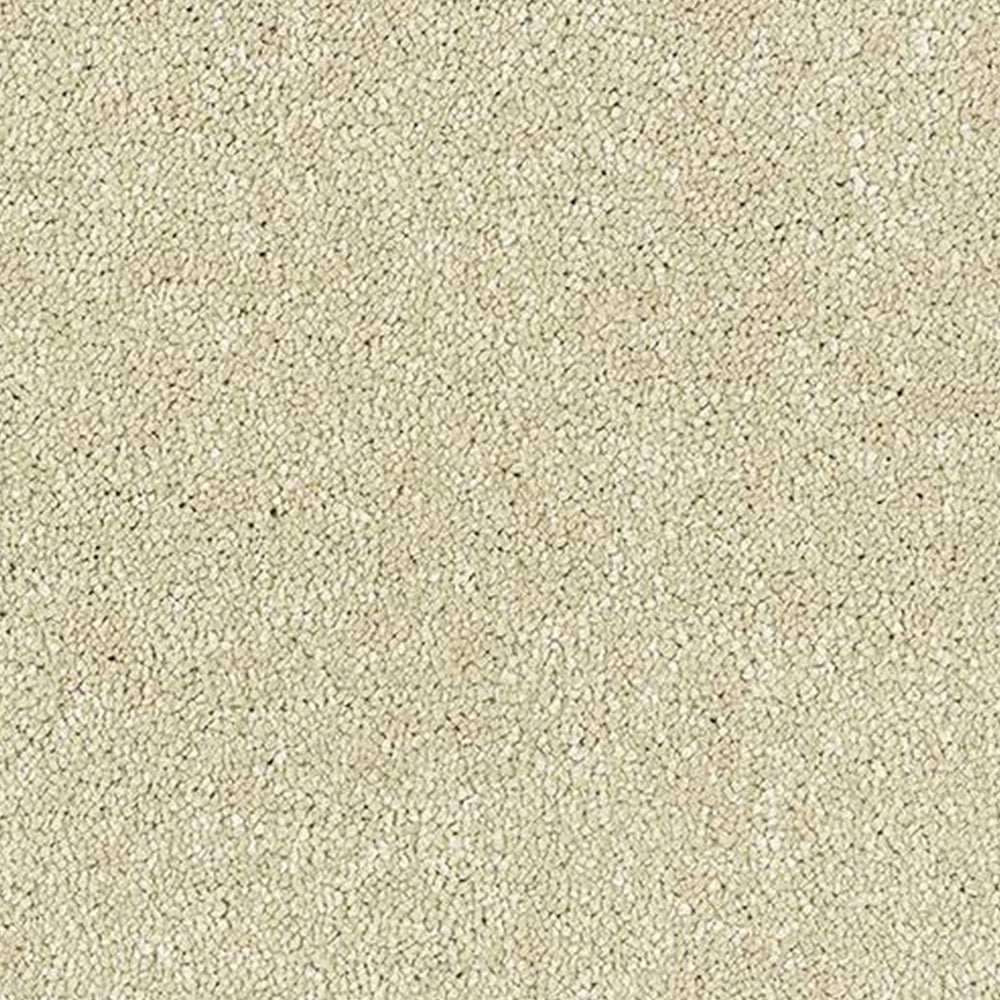 Abingdon Carpets Stainfree Satin Touch Saxony Carpet - Nottingham 