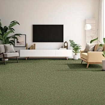 Furlong Flooring Provence Classic Saxony Carpet