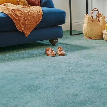 Abingdon Carpets Stainfree Sophisticat Saxony Carpet