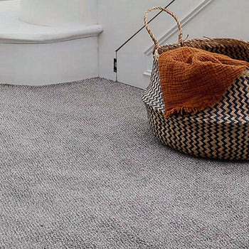 Abingdon Carpets Stainfree Tweed Twist Carpet
