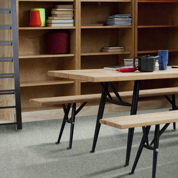 Telenzo Breeze 100% Nylon Velvet Carpet