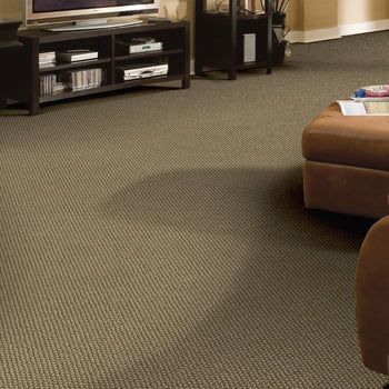 Telenzo Diversity 100% Wool Loop Carpet