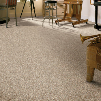 Long Life Boston Loop Carpet