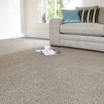Long Life Dunmore Tweed Twist Carpet