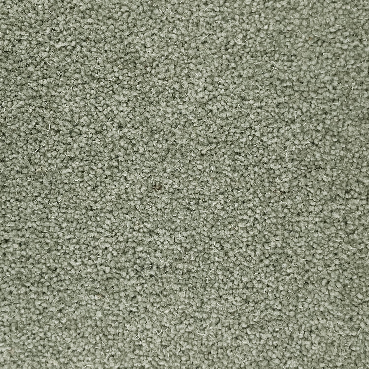 Long Life 40oz Rotherham 80 Wool Blend Twist Pile Carpet Nottingham
